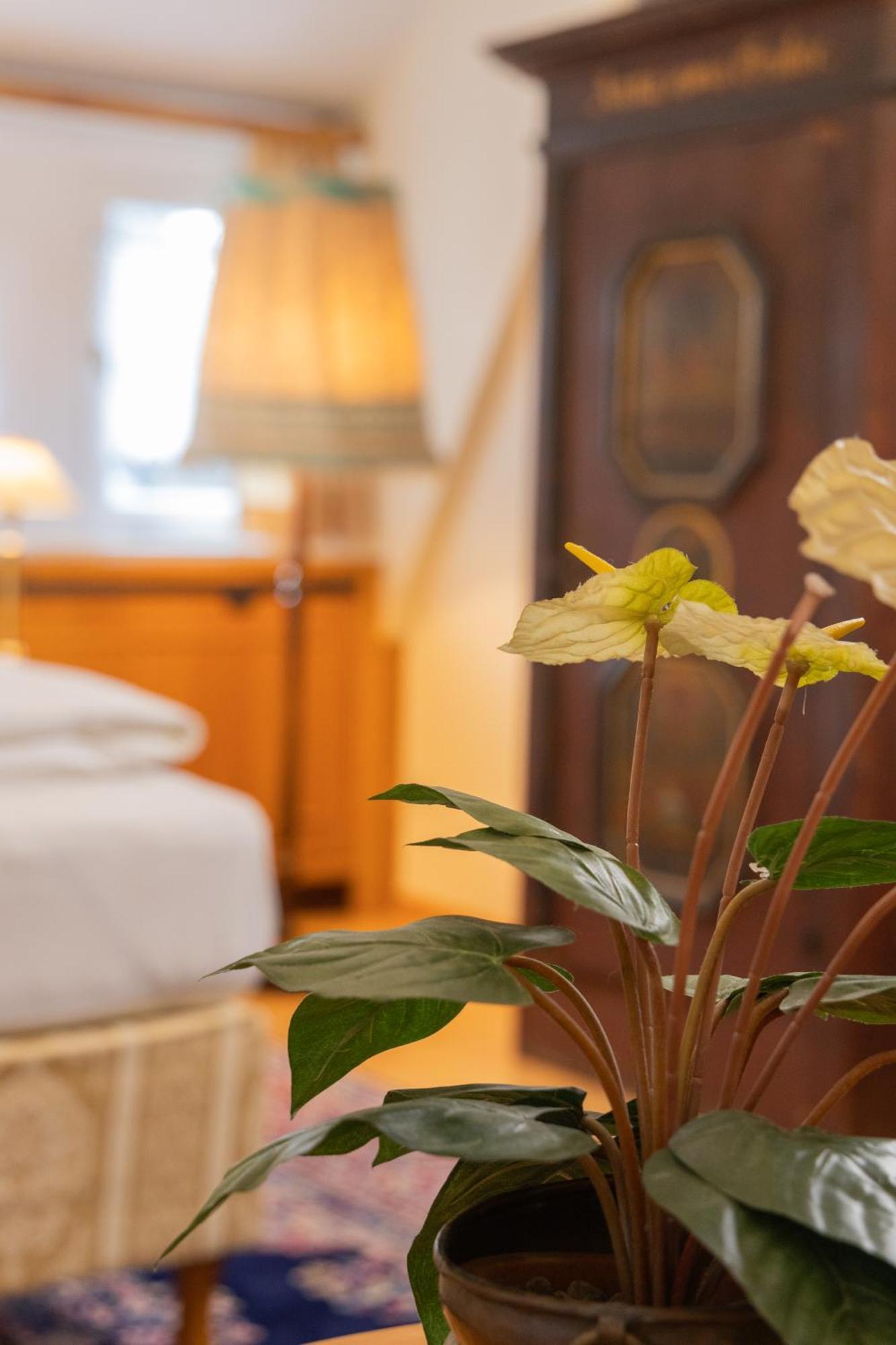Gaestehaus Englischer Garten München Ngoại thất bức ảnh